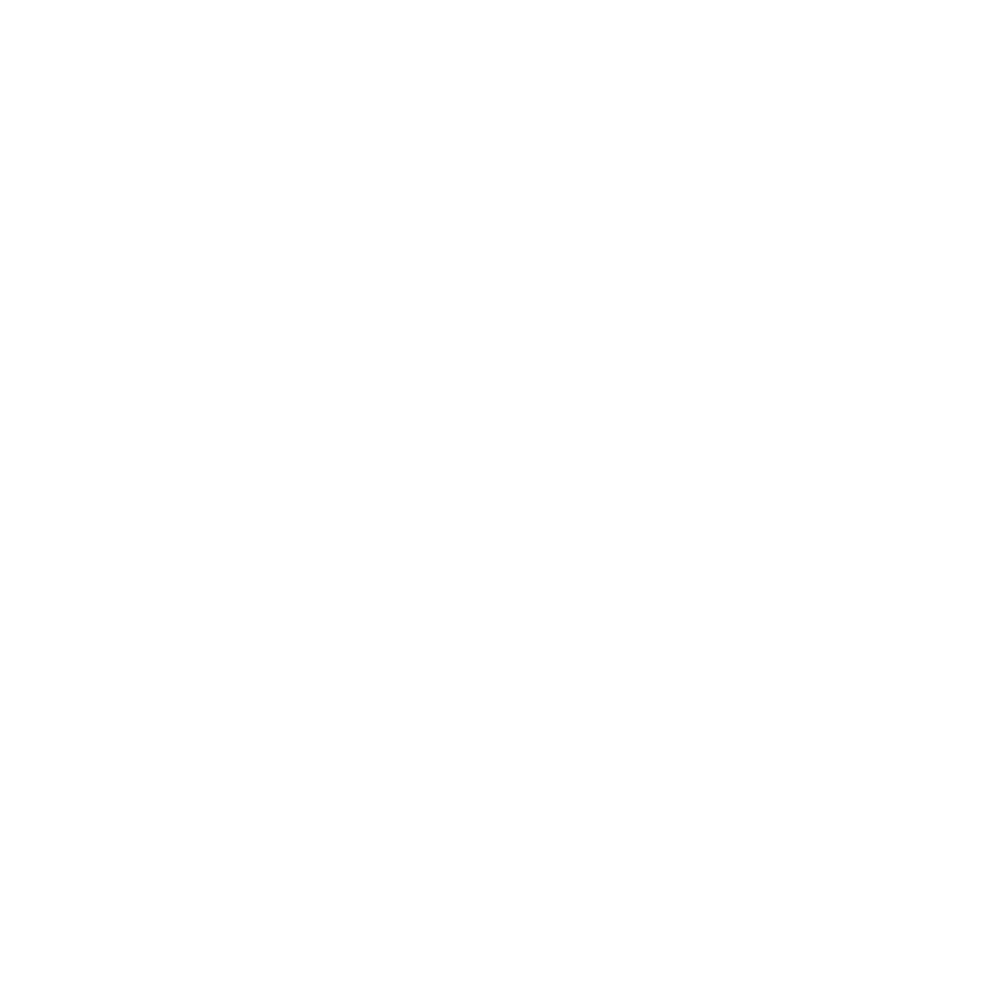 Smart Riders Logo